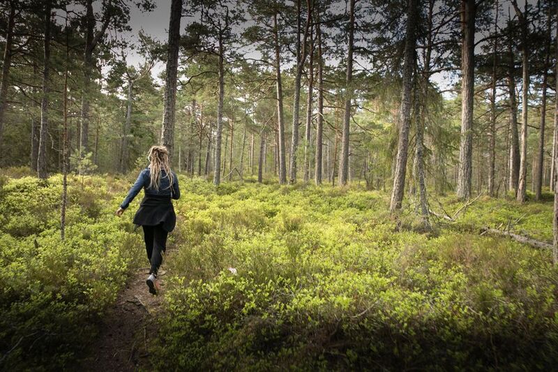 Reconnect nature - Outdoor